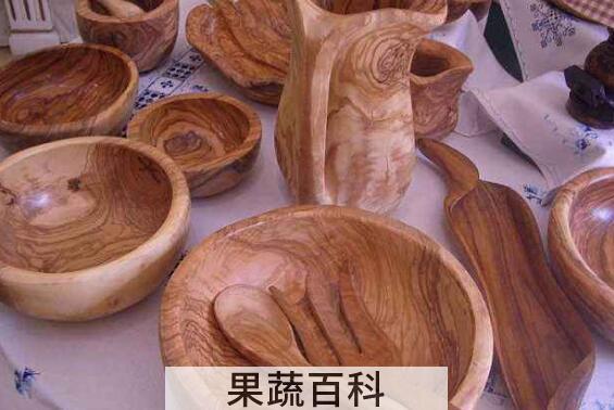 橄榄木的功效与作用及禁忌