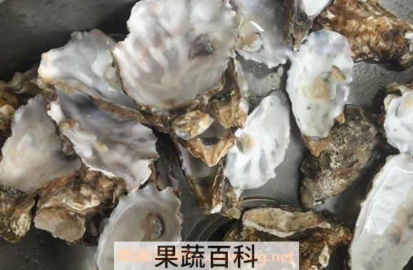 牡蛎壳