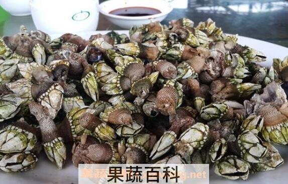 海佛手怎么吃 海佛手的食用方法