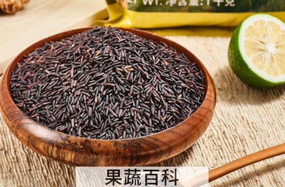 黑莓果米和黑米的区别 吃黑莓果米的好处