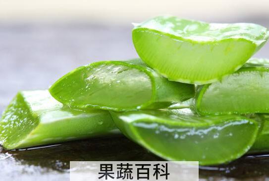 芦荟汁的功效与作用 芦荟汁的副作用