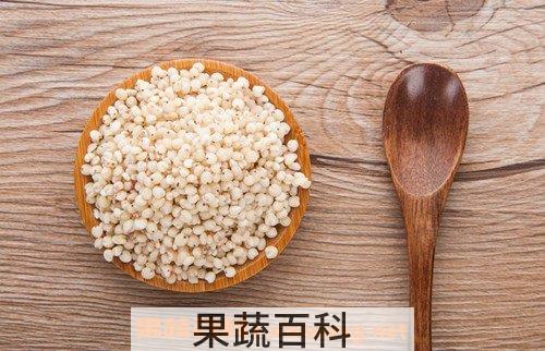 高粱米