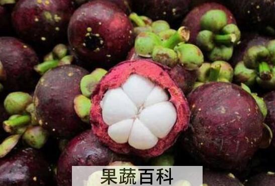 山竹皮硬了怎么打开 山竹硬邦邦的是不是坏了