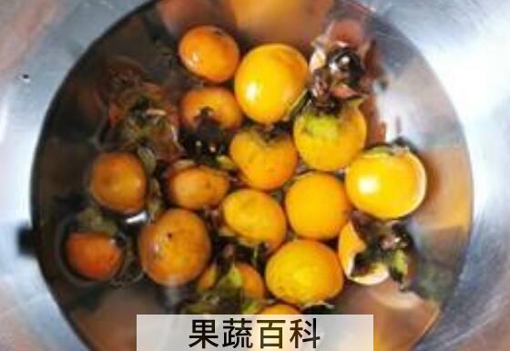 野柿子泡酒的功效与作用