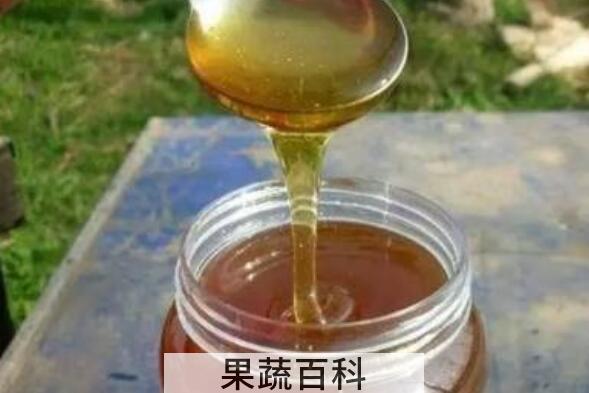 酸枣花蜜的功效与作用