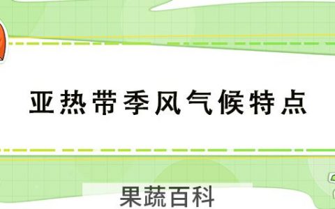 亚热带季风气候特点