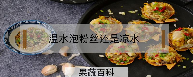 温水泡粉丝还是凉水