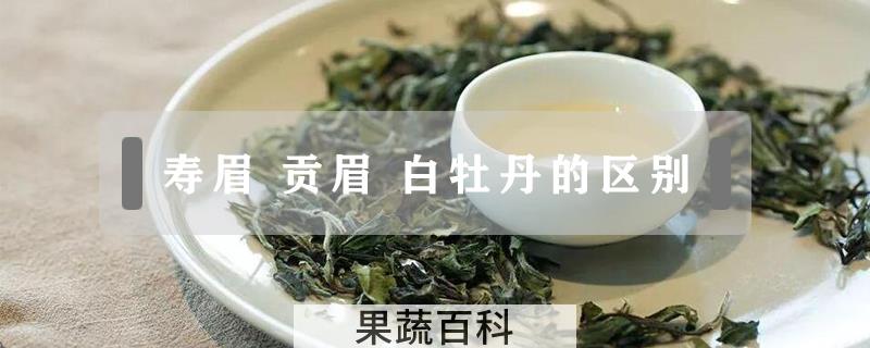 寿眉 贡眉 白牡丹的区别