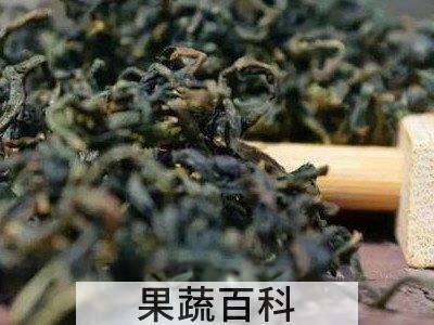 怎么自制蒲公英发酵茶
