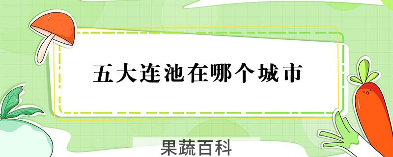 五大连池在哪个城市
