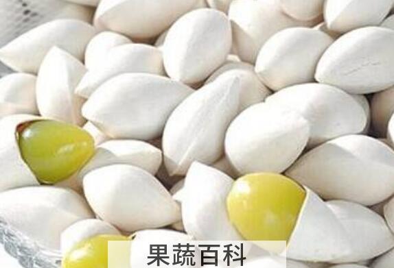 白果和白果仁的区别 吃白果的好处