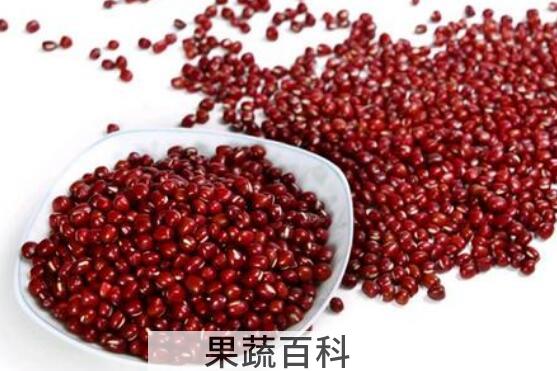 赤小豆和红豆的区别 赤小豆怎么吃
