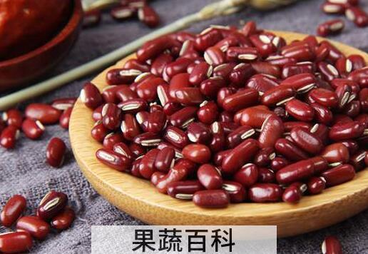 赤小豆和红豆的区别 赤小豆怎么吃