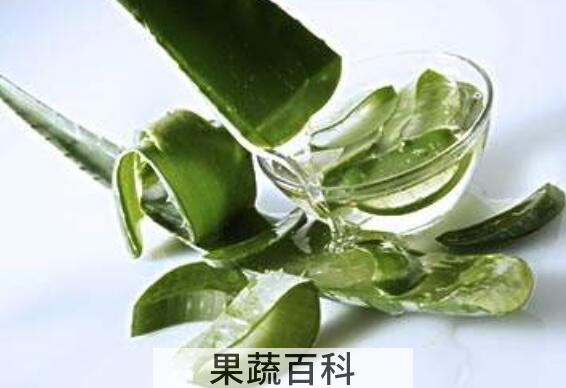 芦荟能不能吃 芦荟食用禁忌