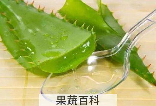 芦荟护肤有什么功效和作用