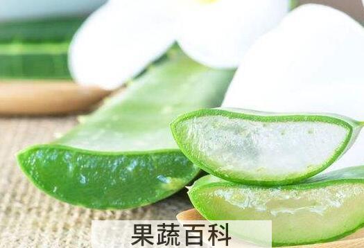 芦荟护肤有什么功效和作用