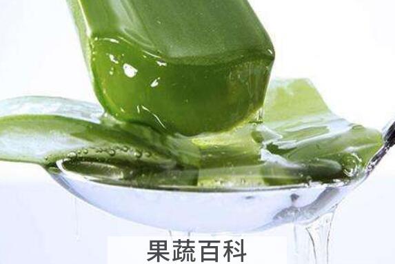 如何用生芦荟擦脸 用生芦荟擦脸的步骤教程