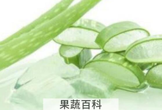 芦荟胶如何用 芦荟胶的正确用法