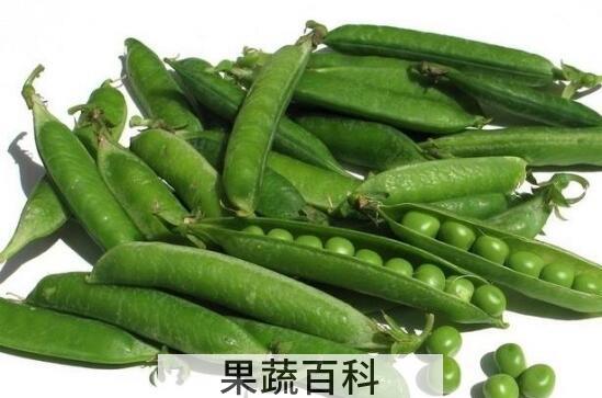 什么人不能吃豌豆 吃豌豆的禁忌