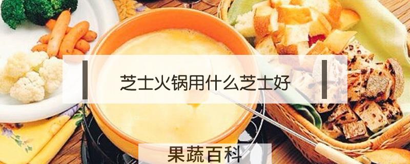 芝士火锅用什么芝士好