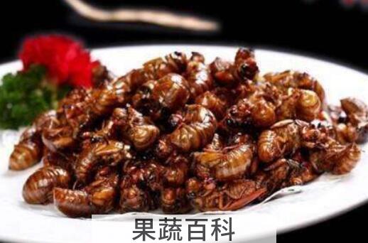 爬叉的功效与作用
