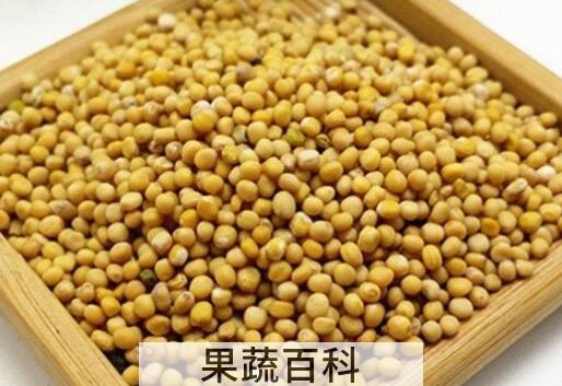 芥末籽和芥末的区别 芥末籽的功效