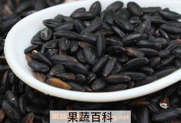 紫米和黑米的区别 紫米和黑米哪个好