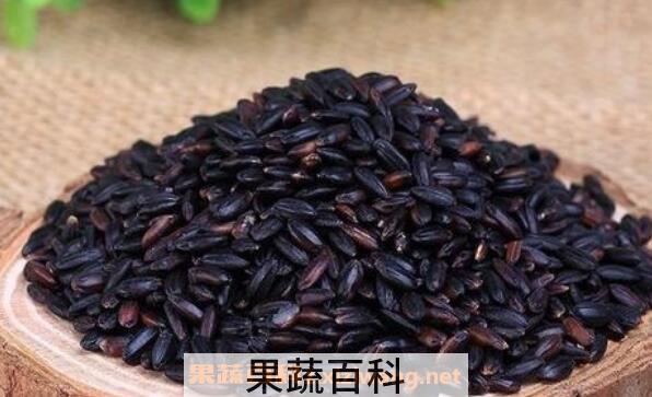 紫米和黑米的区别 紫米和黑米哪个好