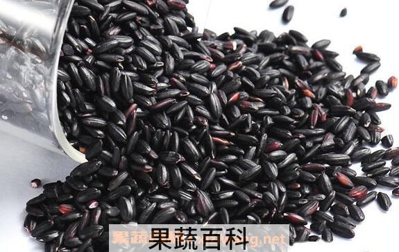 黑糯米的功效与作用 吃黑糯米的禁忌