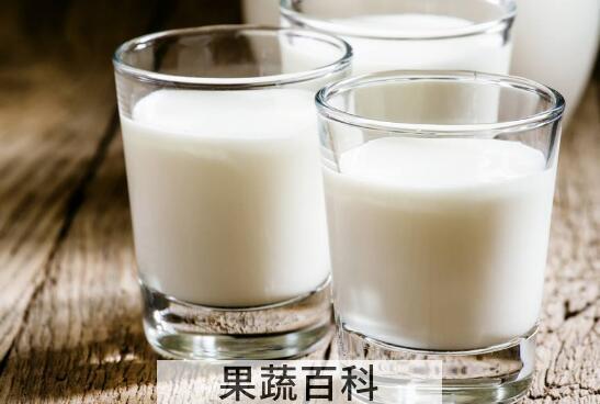 羊奶的功效与作用 为什么中医都叫停羊奶