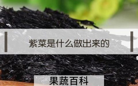 紫菜是什么做出来的