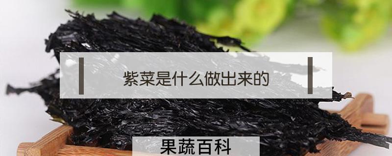 紫菜是什么做出来的
