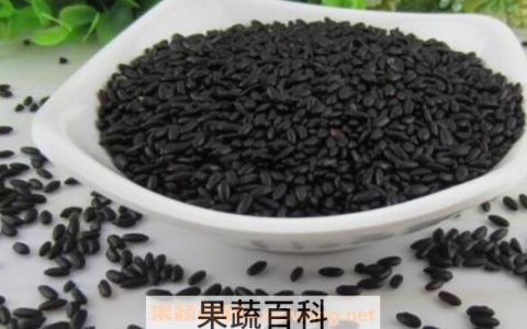 黑米和黑糯米的区别 黑米和黑糯米哪个好