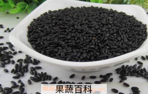 黑米和黑糯米的区别 黑米和黑糯米哪个好