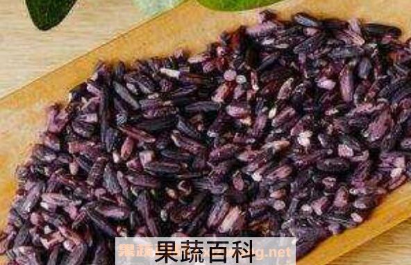 黑米和黑糯米的区别 黑米和黑糯米哪个好