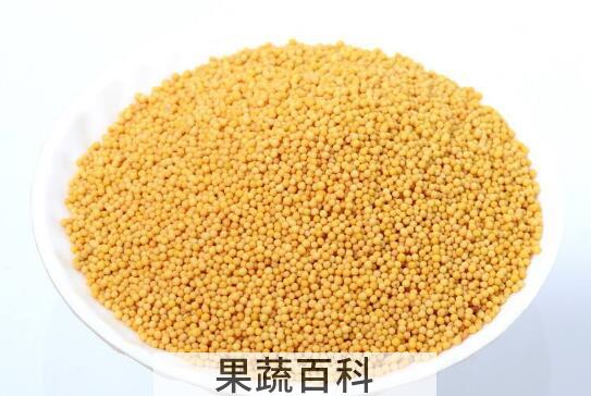 黄芥末籽的功效与作用
