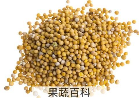 黄芥末籽的功效与作用