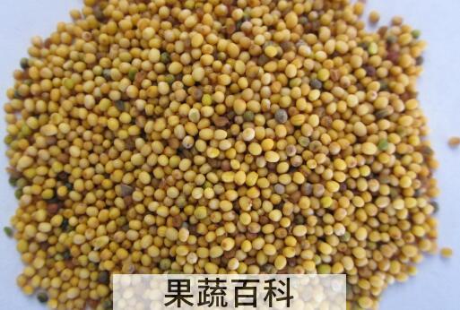 芥末籽怎么使用 芥末籽酱怎么用