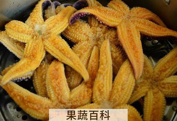 海五星怎么吃 海五星的正确吃法