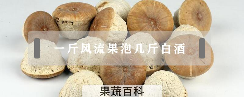 一斤风流果泡几斤白酒