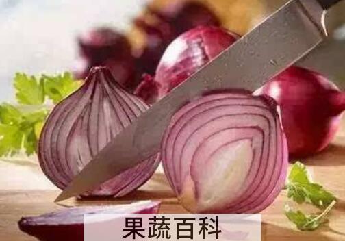 女人生吃洋葱有什么好处