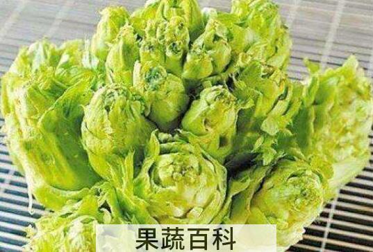 齿儿菜的功效与作用