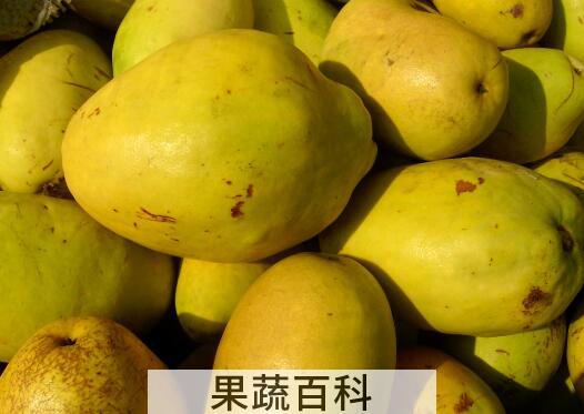 中药光木瓜的功效与作用