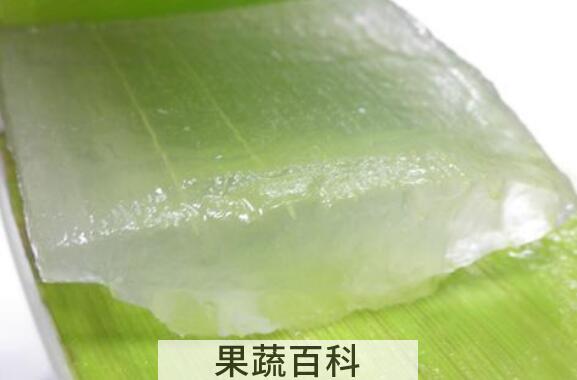 芦荟外敷的作用与功效