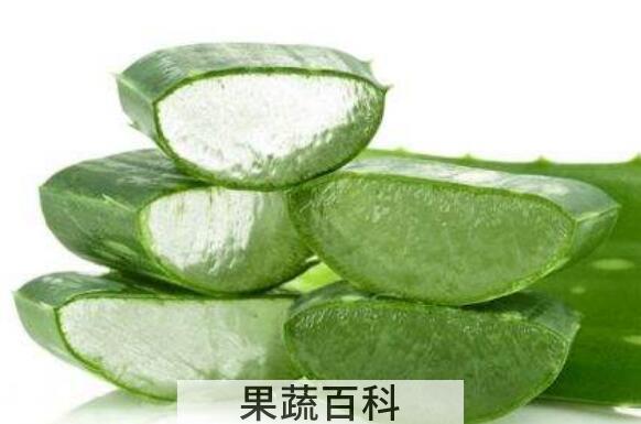 芦荟外敷的作用与功效