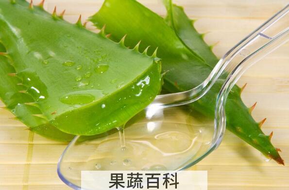 新鲜芦荟可以直接擦脸吗 芦荟怎么处理才能涂脸
