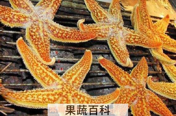 烤海星怎么吃 烤海星的正确吃法