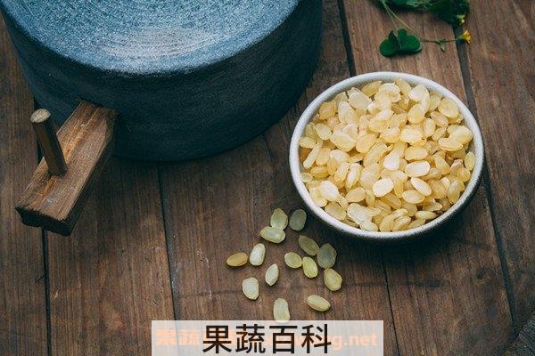皂角米