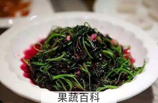 苋菜的功效与作用及禁忌