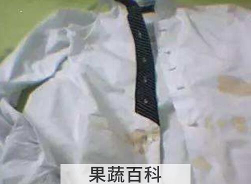 白衣服茶水渍如何清洗 茶叶水怎么洗掉